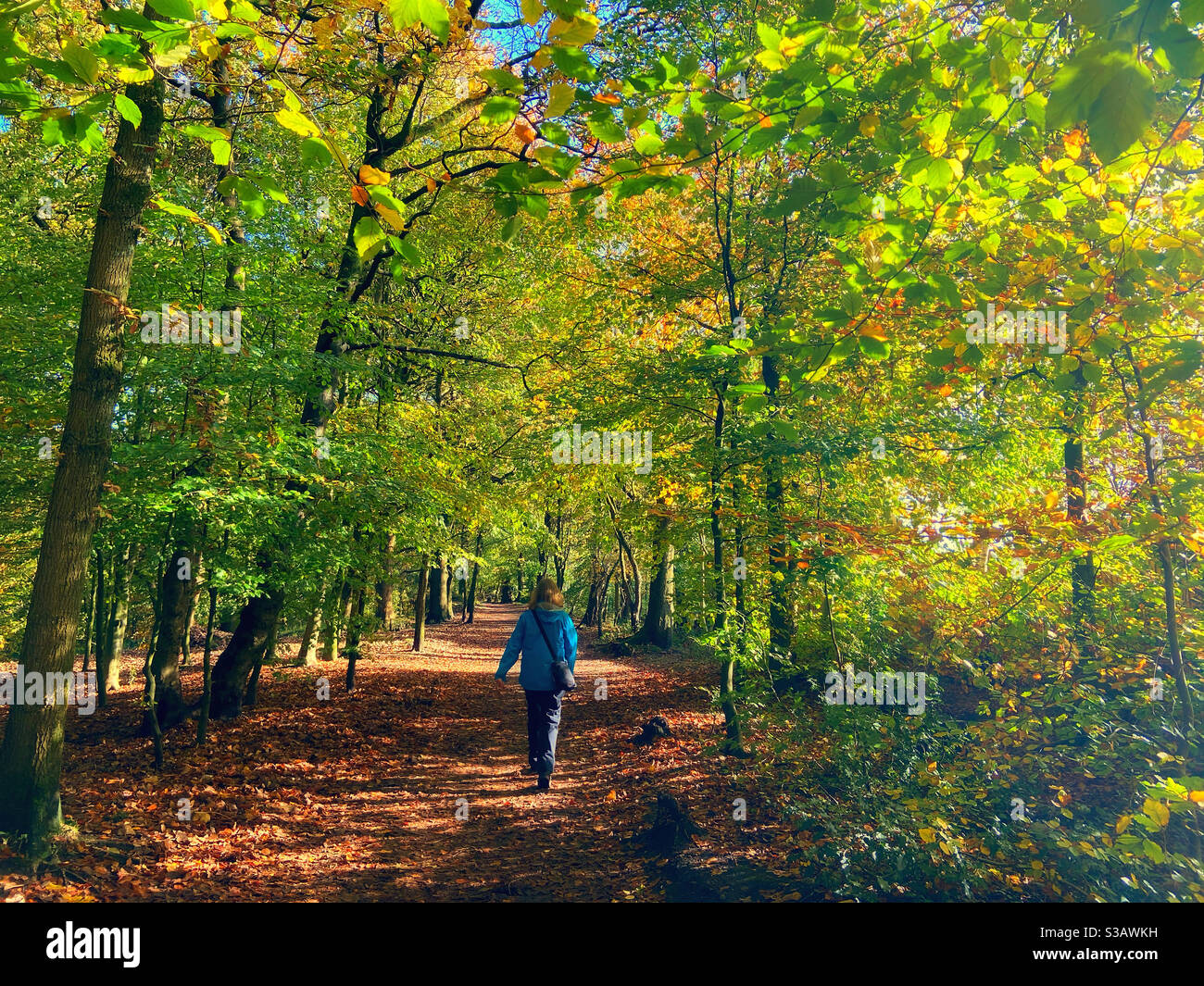 Donna che cammina lungo il sentiero boschivo coperto di foglie autunnali cadute A Astley Park a Chorley - Immagine stock catturata con smartphone