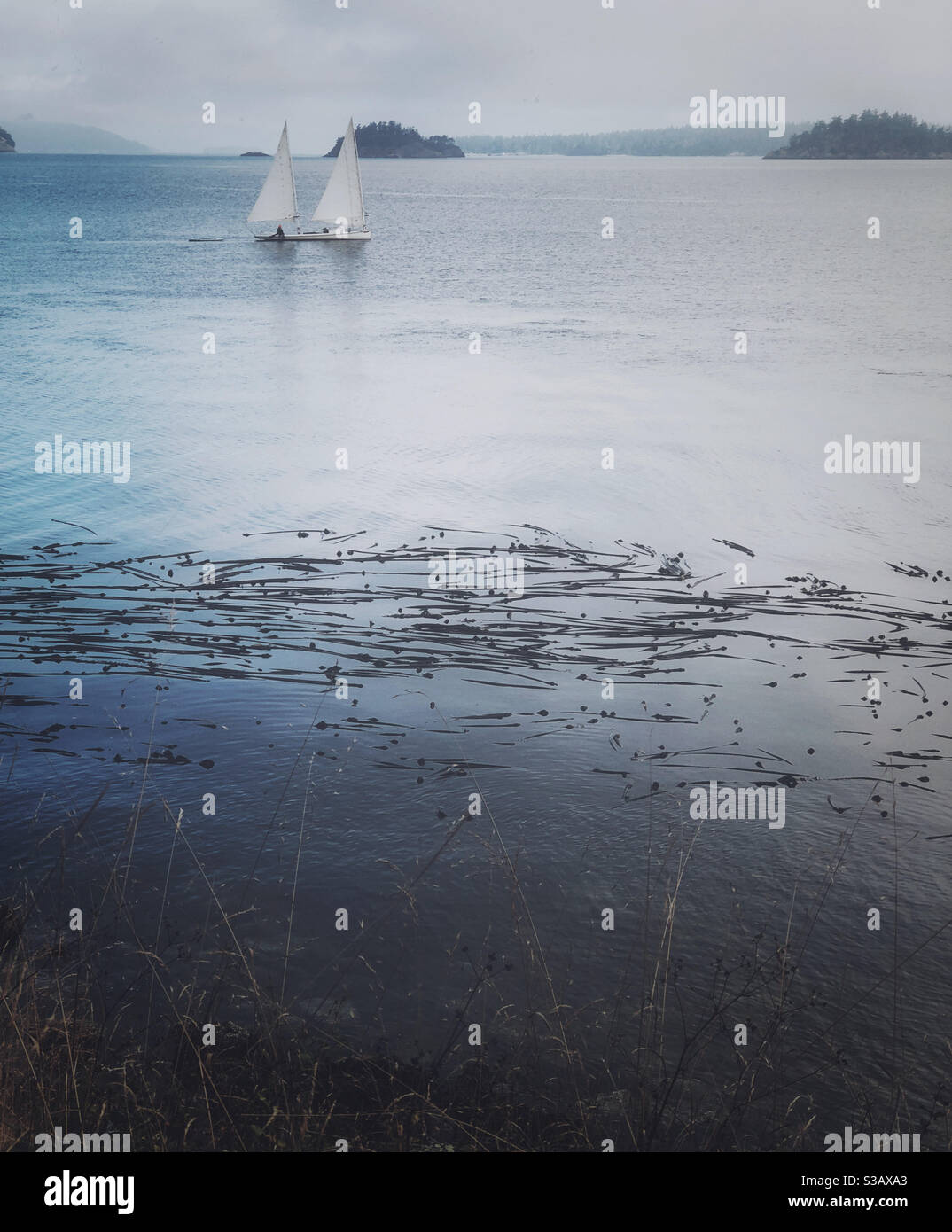 Vela nelle isole di san juan - Immagine stock catturata con smartphone