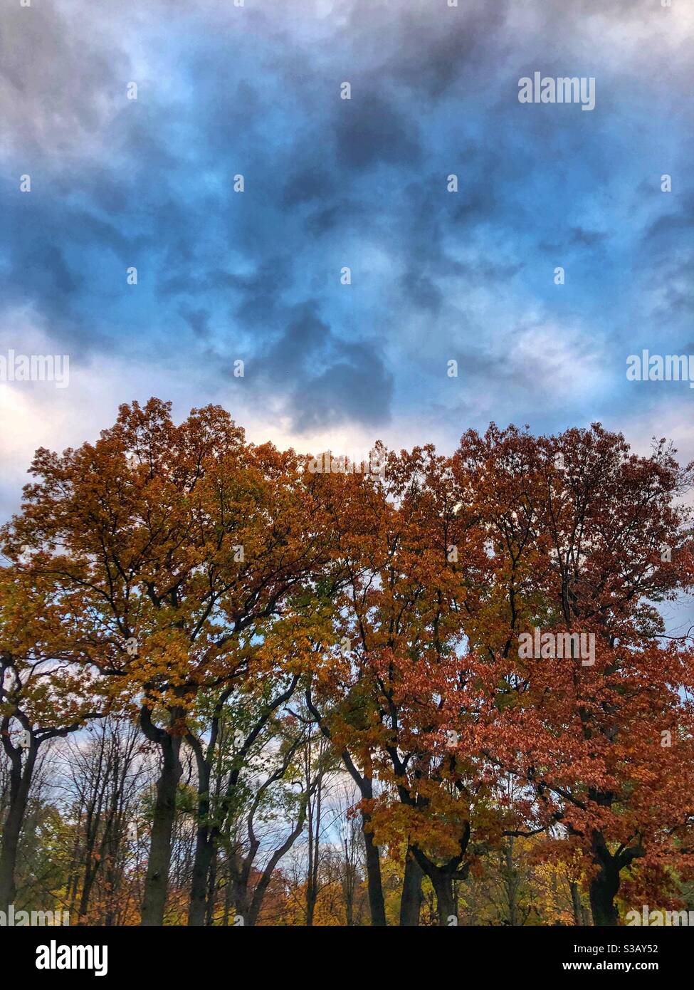 Spettacolare cielo notturno d'autunno. - Immagine stock catturata con smartphone
