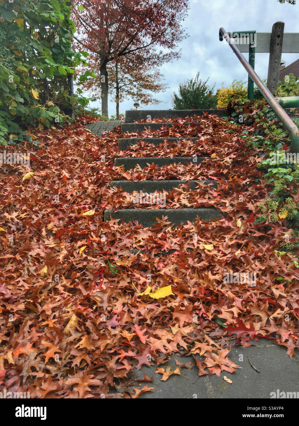 Foglie di autunno su scale Foto Stock