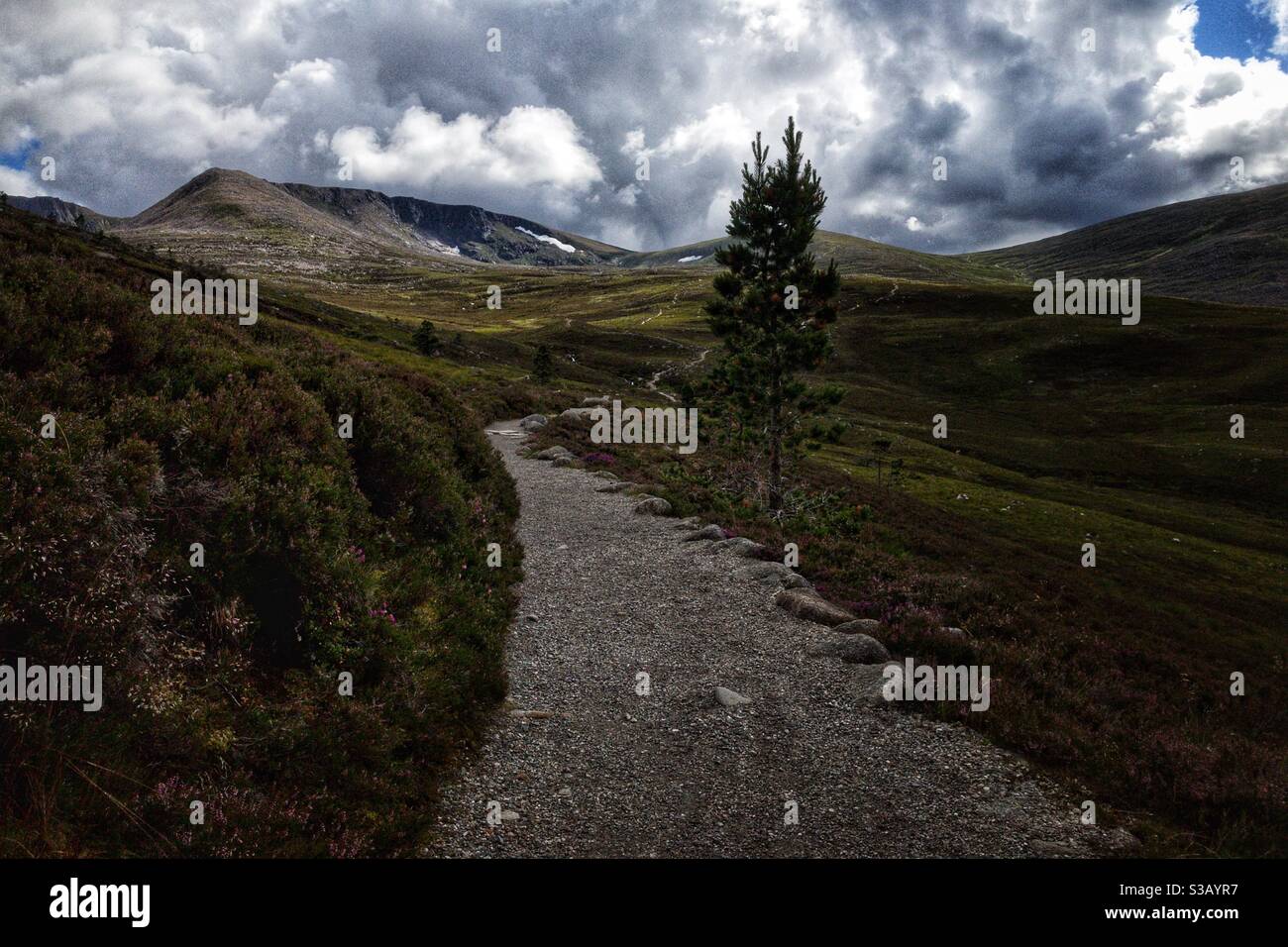 Montagne dei Cairngorms, Scozia. Foto Stock
