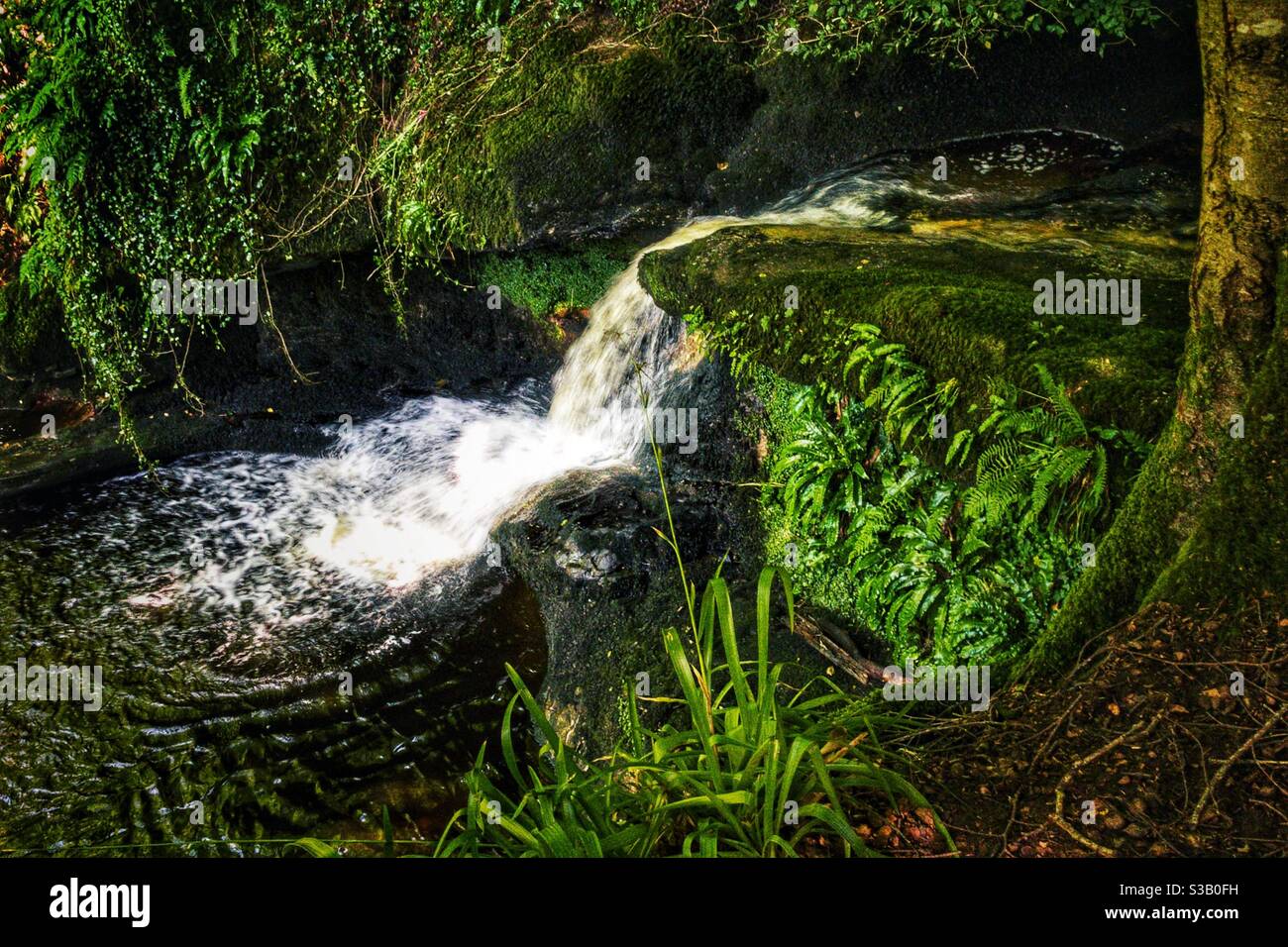 Kelburn Country Estate a Fairlie, nel Nord Ayrshire, Scozia. - Immagine stock catturata con smartphone