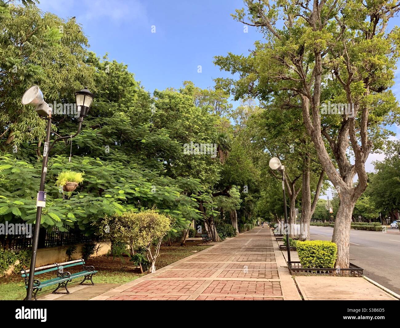 Avenue de Montejo , Merida , Messico Foto Stock