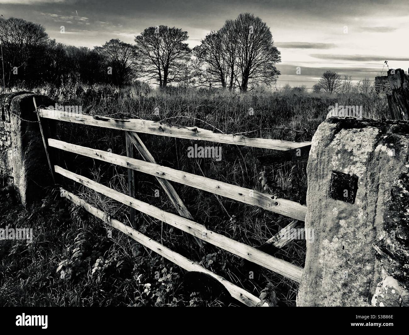 Immagine in bianco e nero scuro di un vecchio cancello, con filo spinato lungo la cima, North Yorkshire UK con una linea di alberi dietro Foto Stock