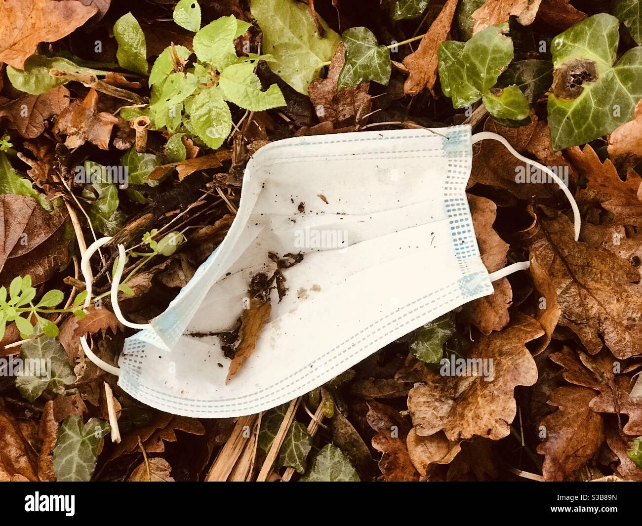 maschera facciale scartata in campagna - Immagine stock catturata con smartphone