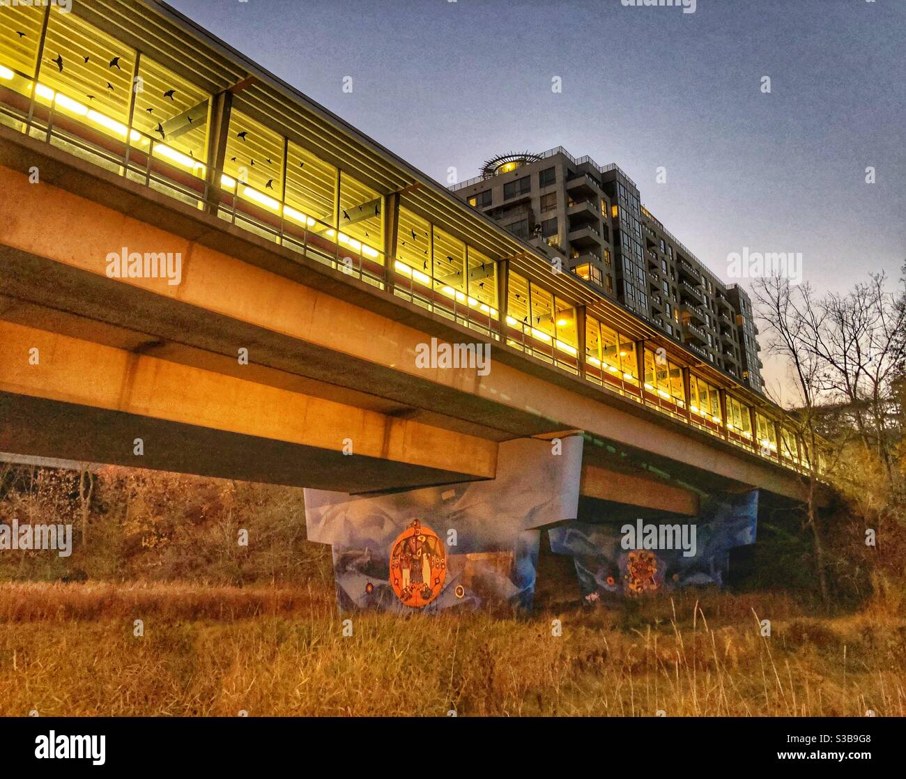 Arte urbana indigena di Toronto, Canada. - Immagine stock catturata con smartphone