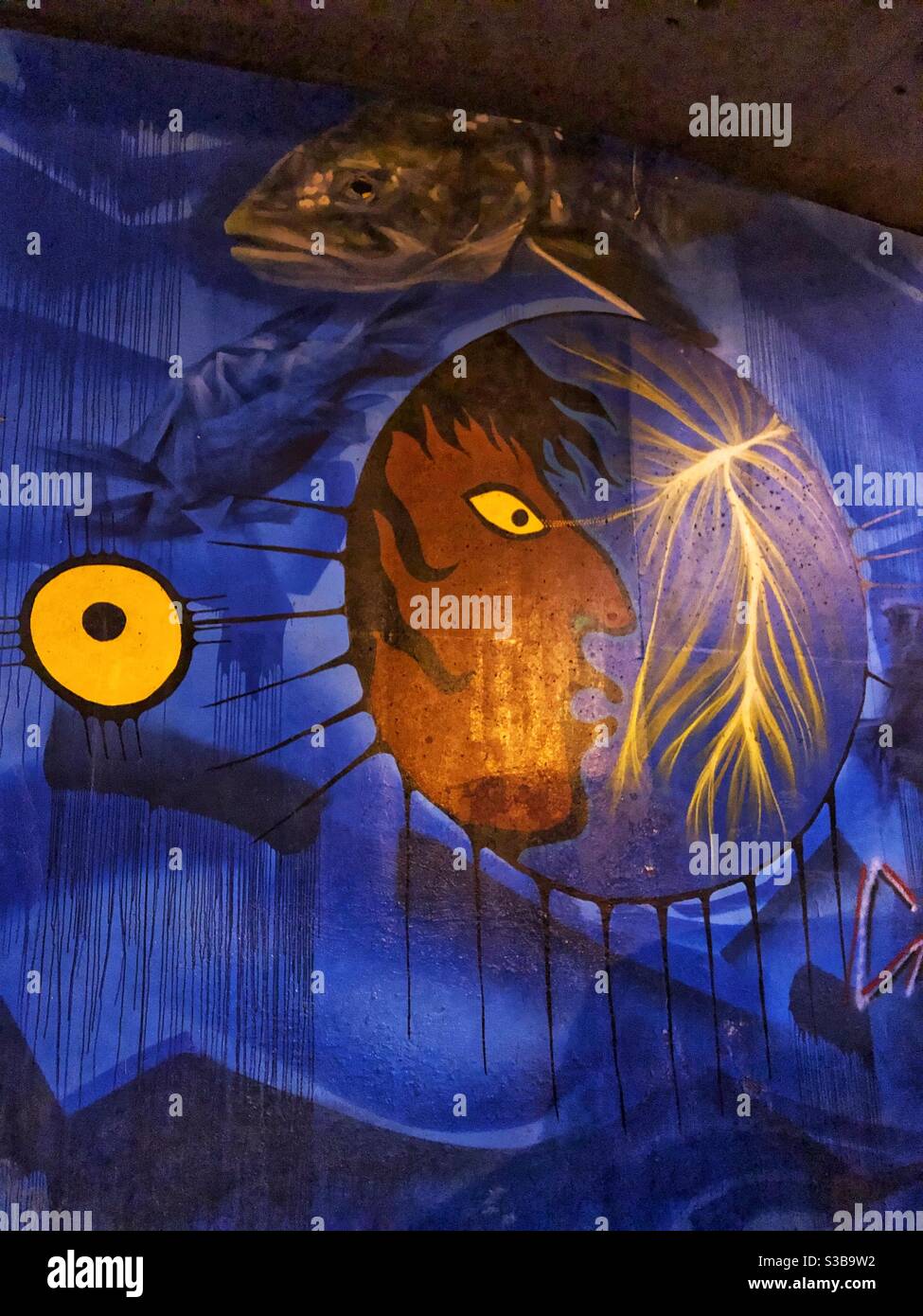 Arte urbana indigena di Toronto, Canada. Foto Stock