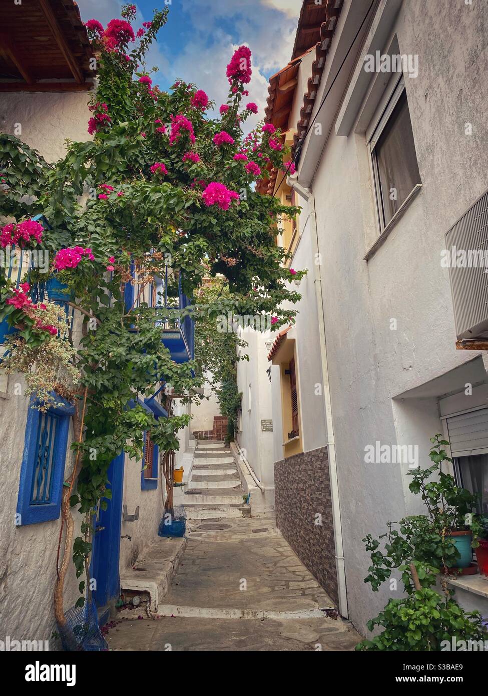 Pittoresca strada greca con fiori rosa sull'isola di Skiathos. Foto Stock