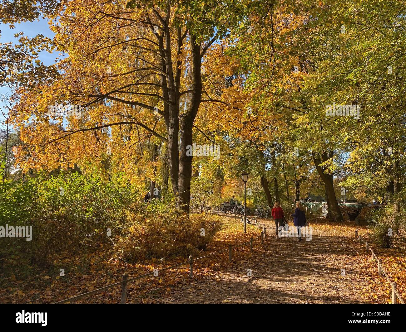 Persone che camminano tra alberi di colore autunnale in Englischer Garten (Giardino Inglese) a Monaco. - Immagine stock catturata con smartphone