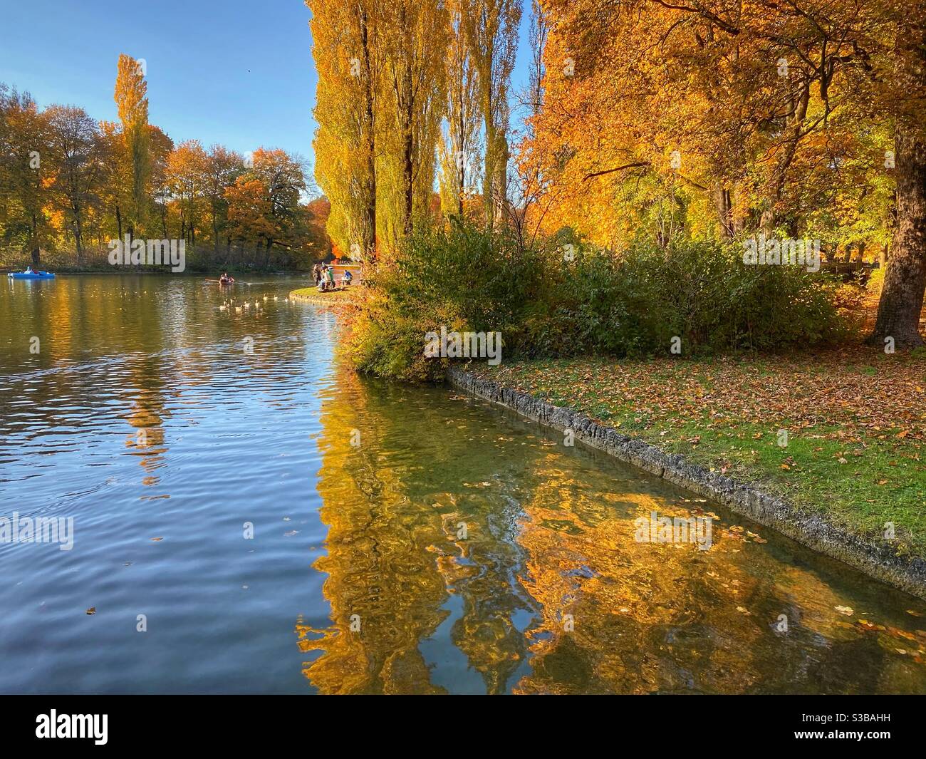 Stagno in Englischer Garten (Giardino Inglese) a Monaco con riflessi alberi d'autunno. Foto Stock