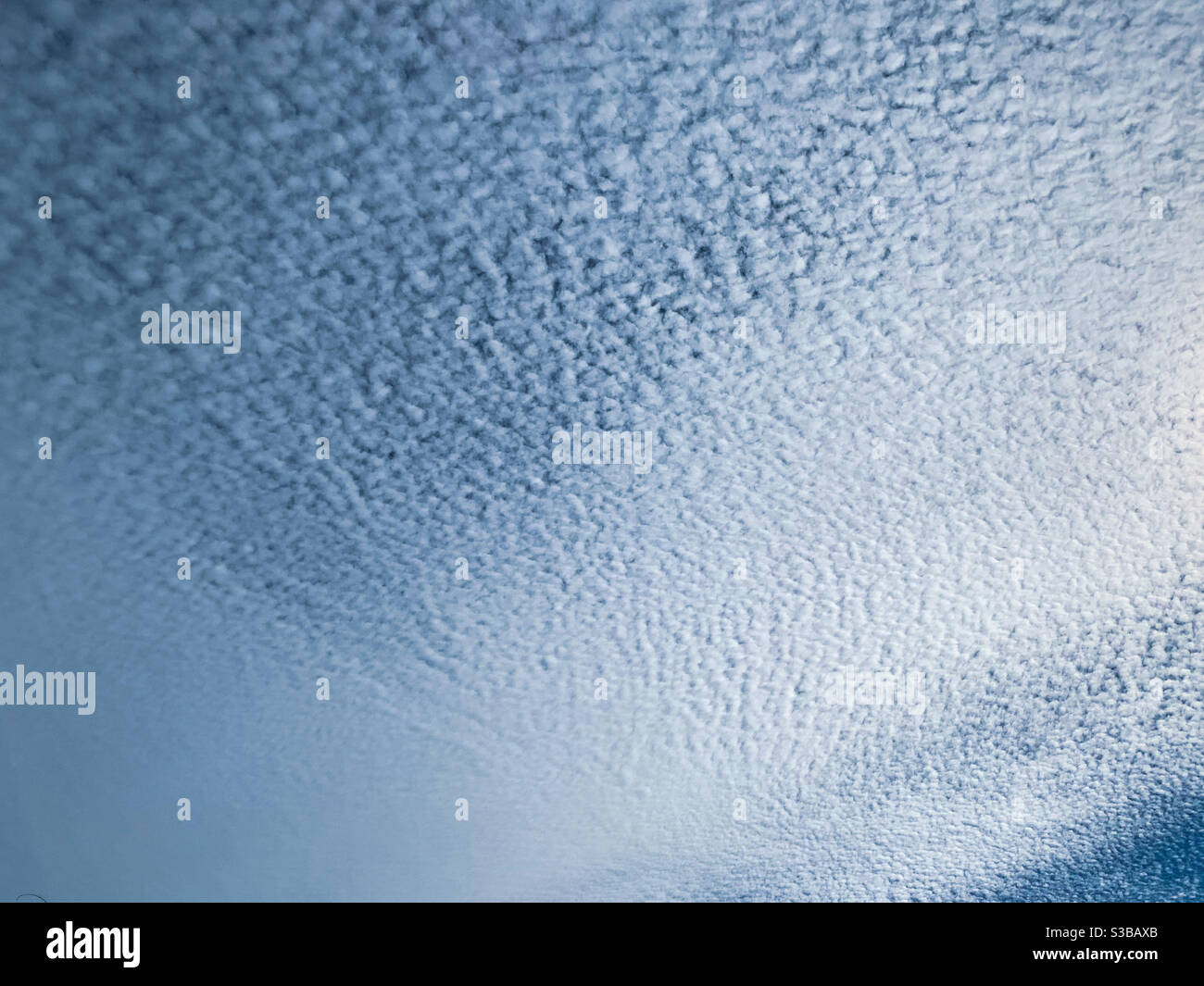 Sottili nuvole bianche soffici, assomiglia a schiuma. Cirrocumulo Foto Stock