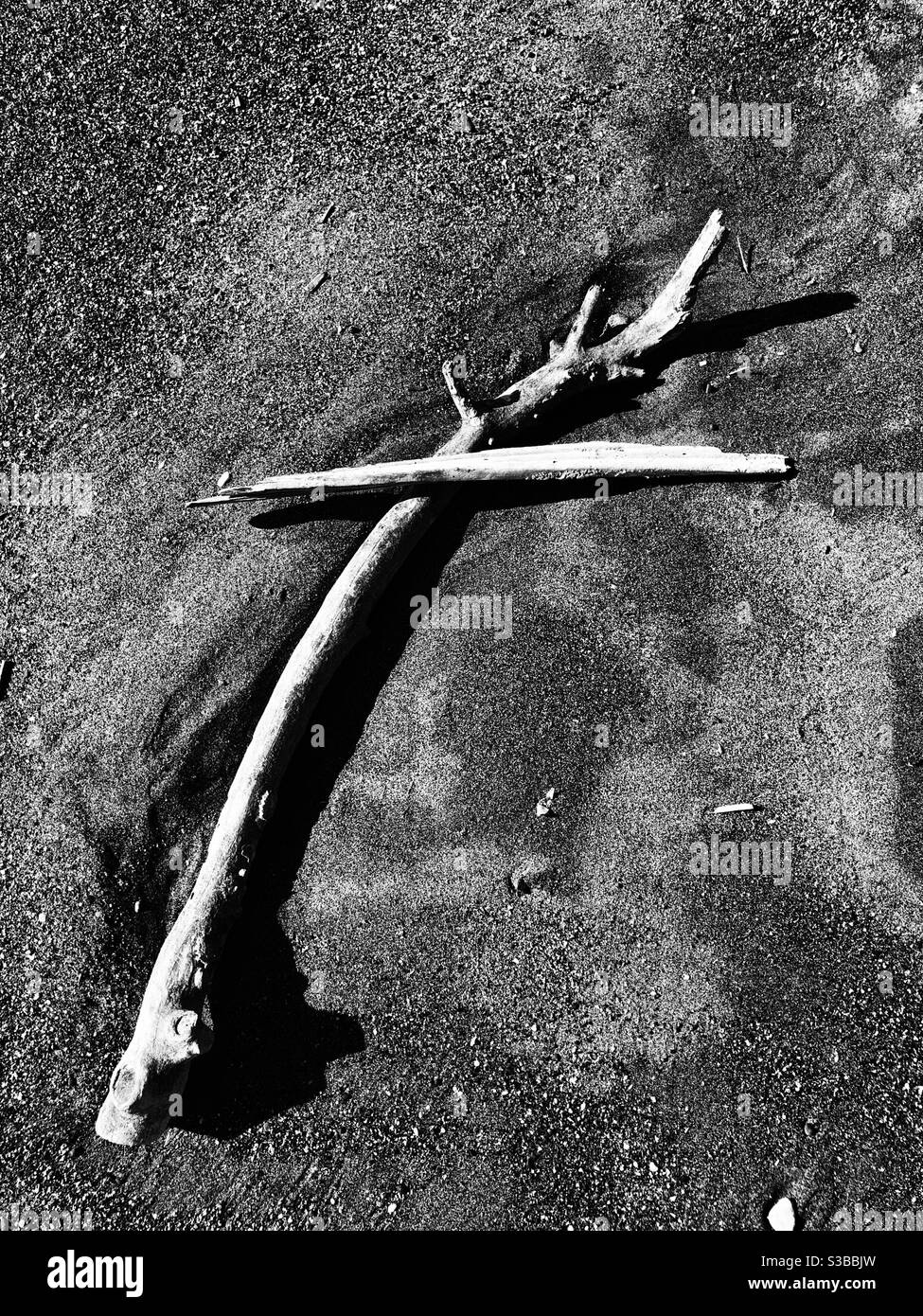 Immagine di vita morta di brunchi rotti lavano a terra sul spiaggia Foto Stock