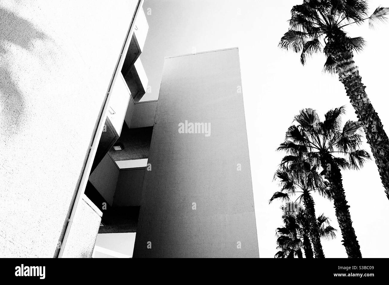 Edificio moderno in luce e ombra - nero e bianco versione con palme Foto Stock