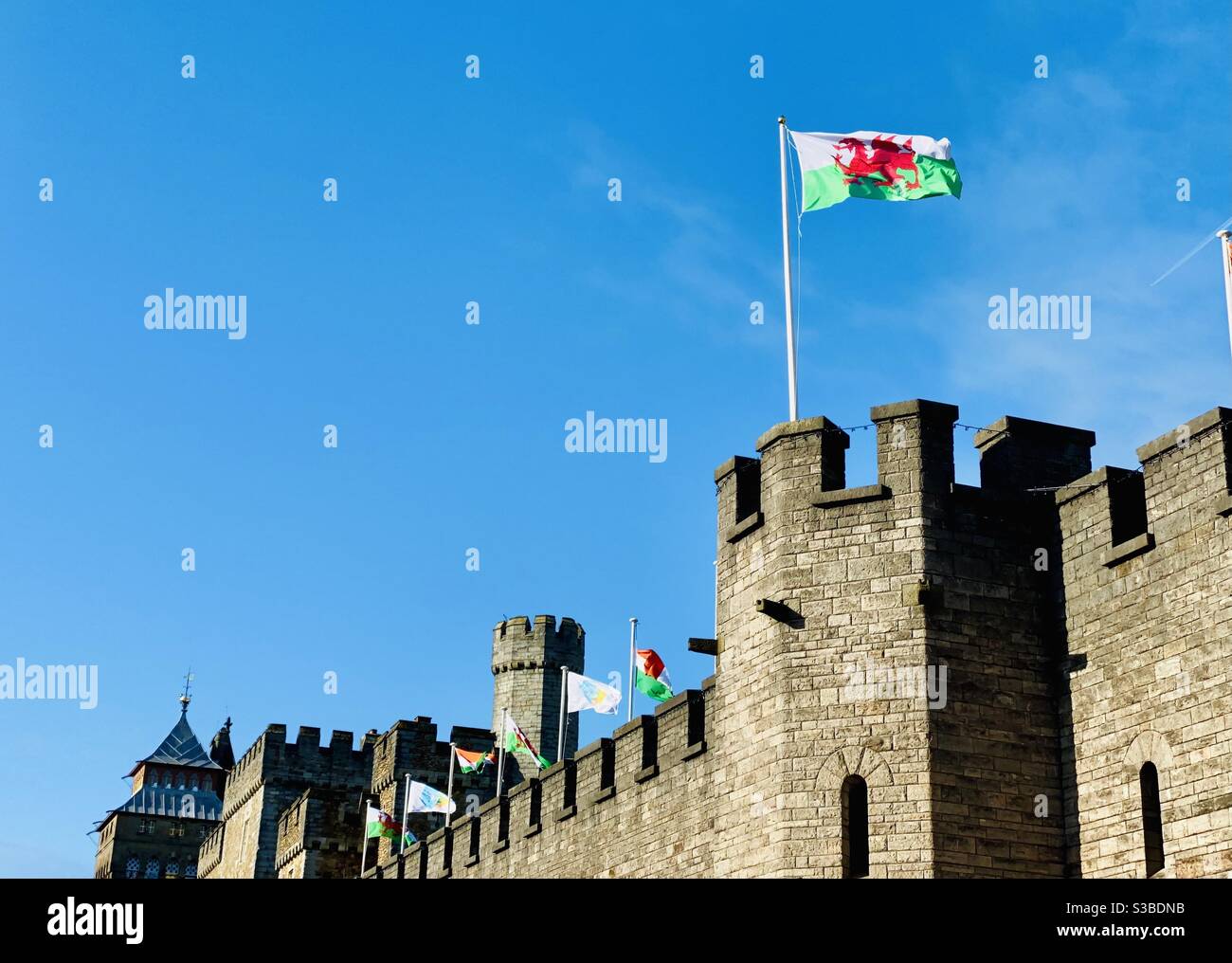 Bandiera gallese che vola sul muro del castello di Cardiff Foto Stock