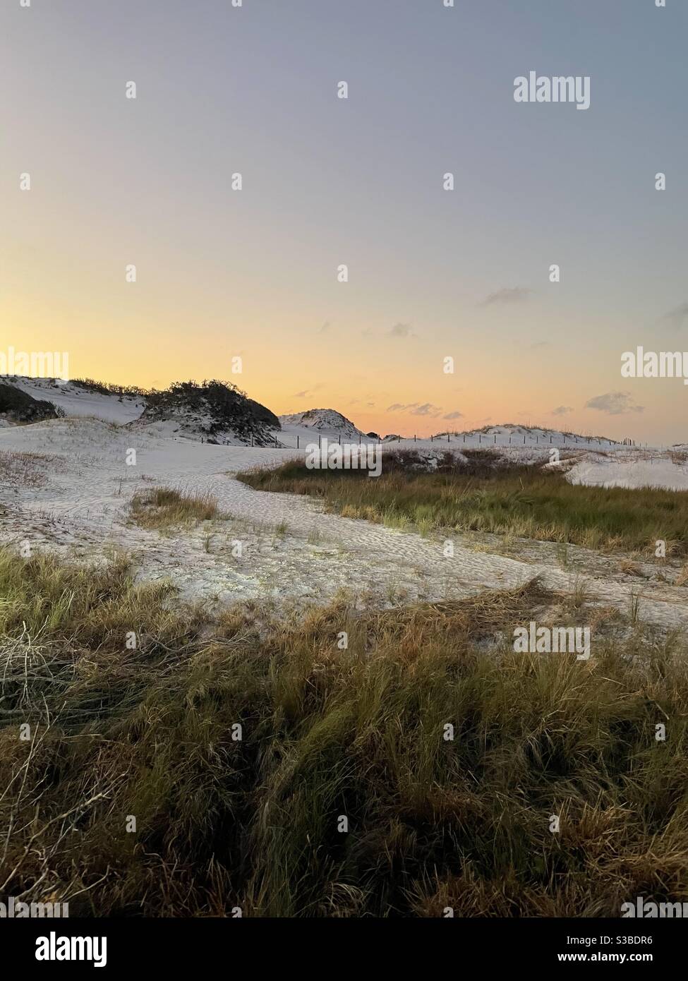 Alba di prima mattina su dune di sabbia bianca sulla spiaggia della Florida Foto Stock