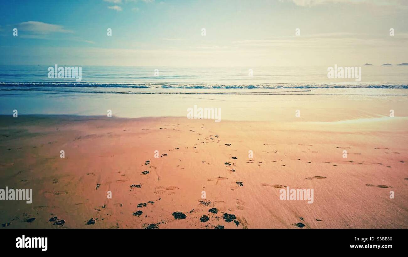 Una fotografia paesaggistica di una spiaggia con un cane di sabbia paw stampa in primo piano Foto Stock