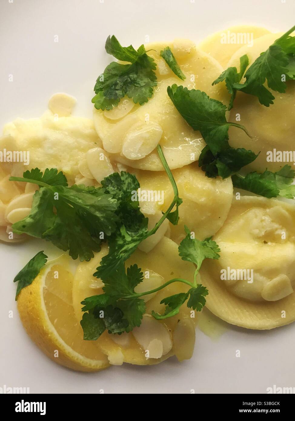 Primo piano di un piatto gourmet di pasta italiana al limone ravioli con mandorle e coriandolo Foto Stock