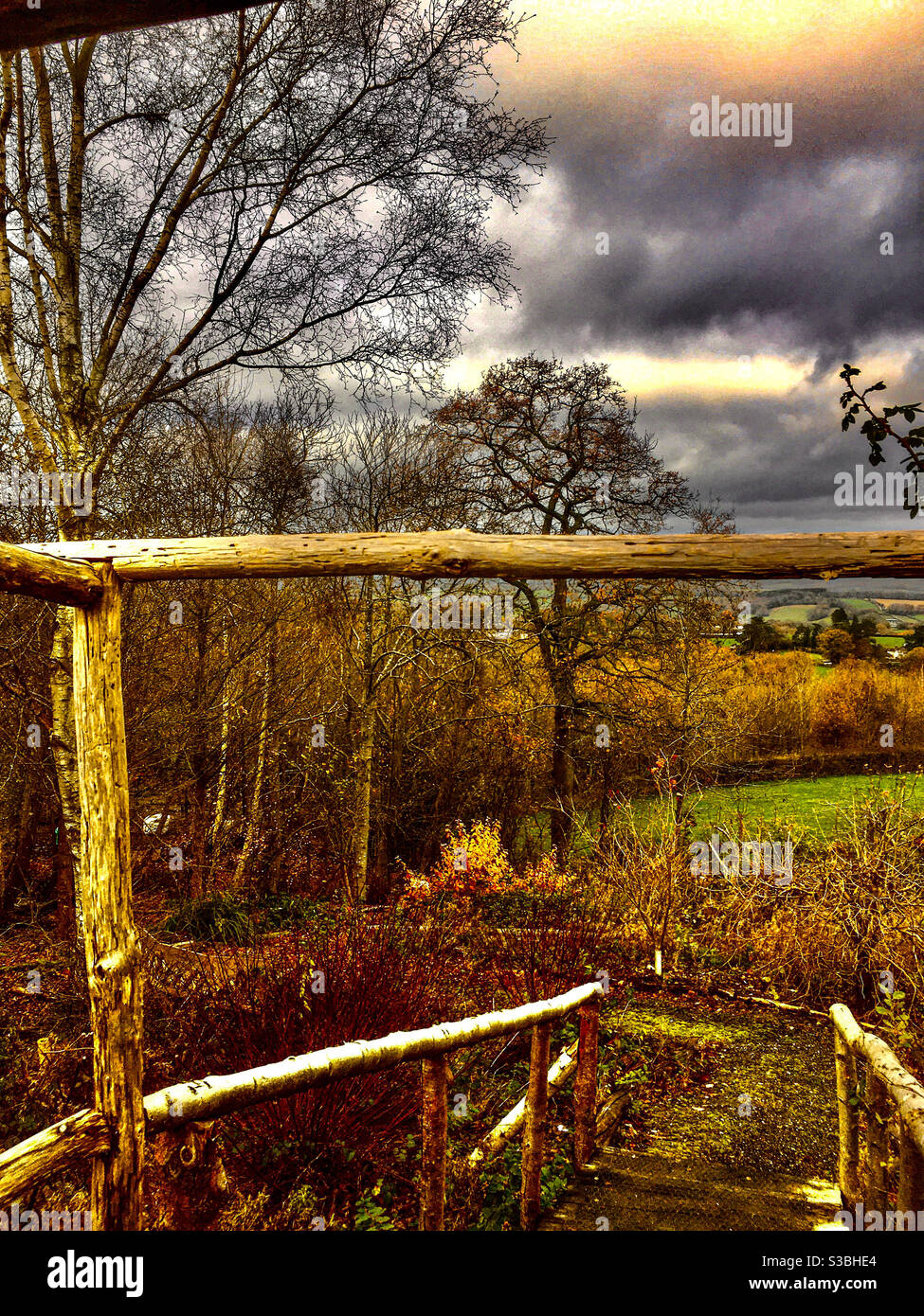 Sussex vista in autunno Foto Stock