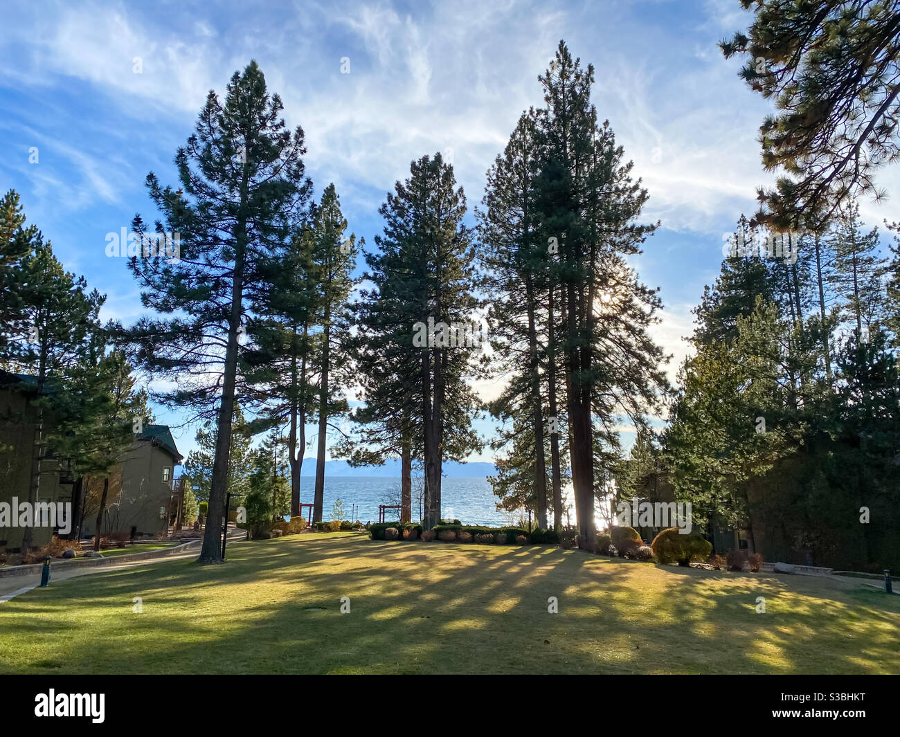 Lago Tahoe visto attraverso alcuni alberi di pino Foto Stock