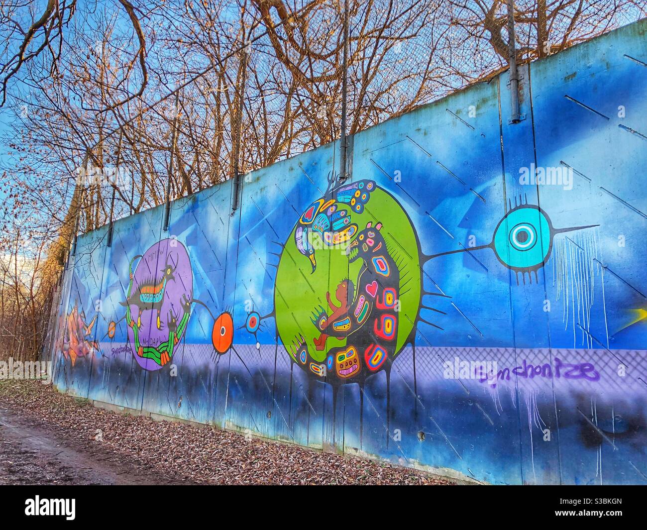 Arte urbana First Nation in un parco di Toronto. - Immagine stock catturata con smartphone