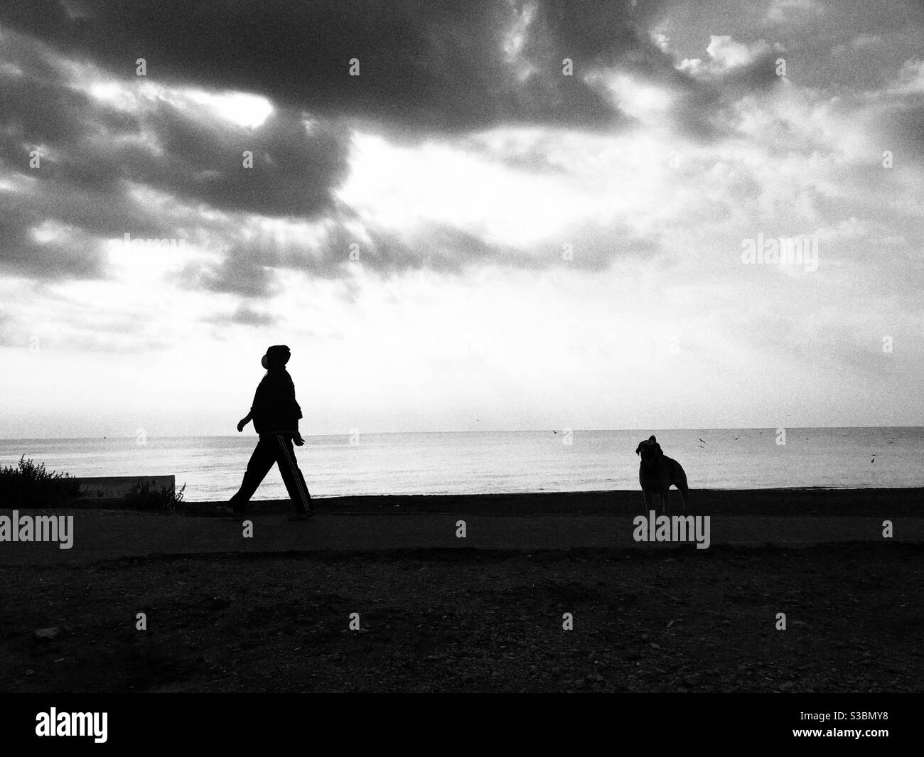 Silhouette di un uomo e di un cane che cammina vicino a. spiaggia - Immagine stock catturata con smartphone