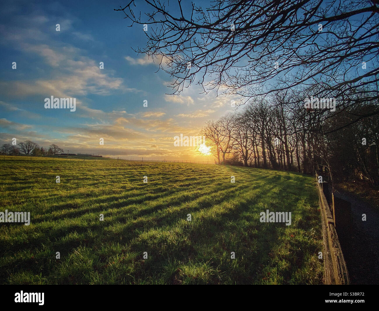 Sole nel tardo pomeriggio sui campi di Adlington vicino a Chorley, Lancashire Foto Stock