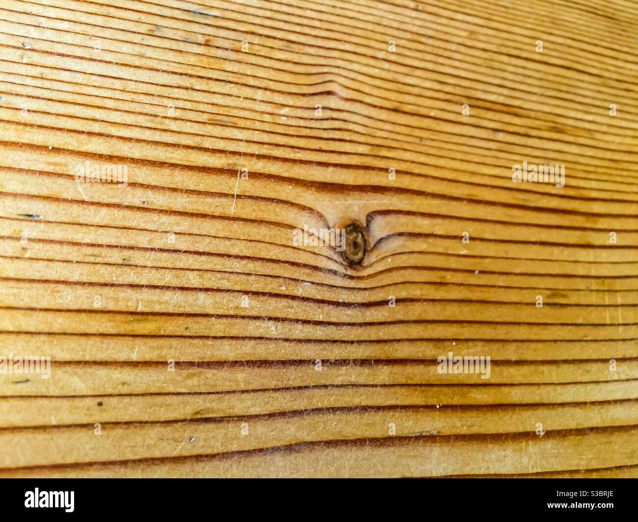Nodo e grano in legno di pino Foto Stock