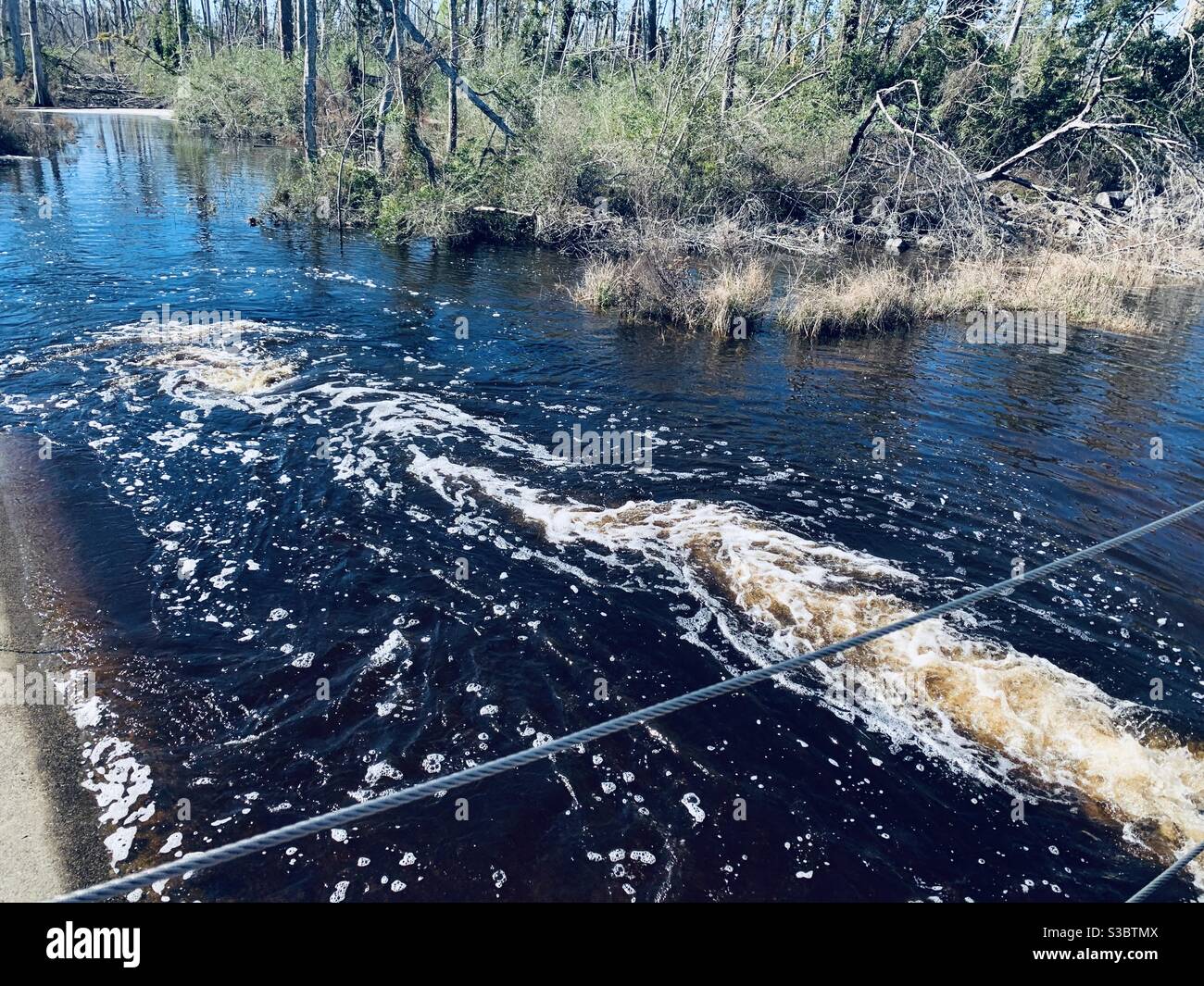 Un fiume e alberi mostrano ancora l'impatto dell'uragano Michael Foto Stock