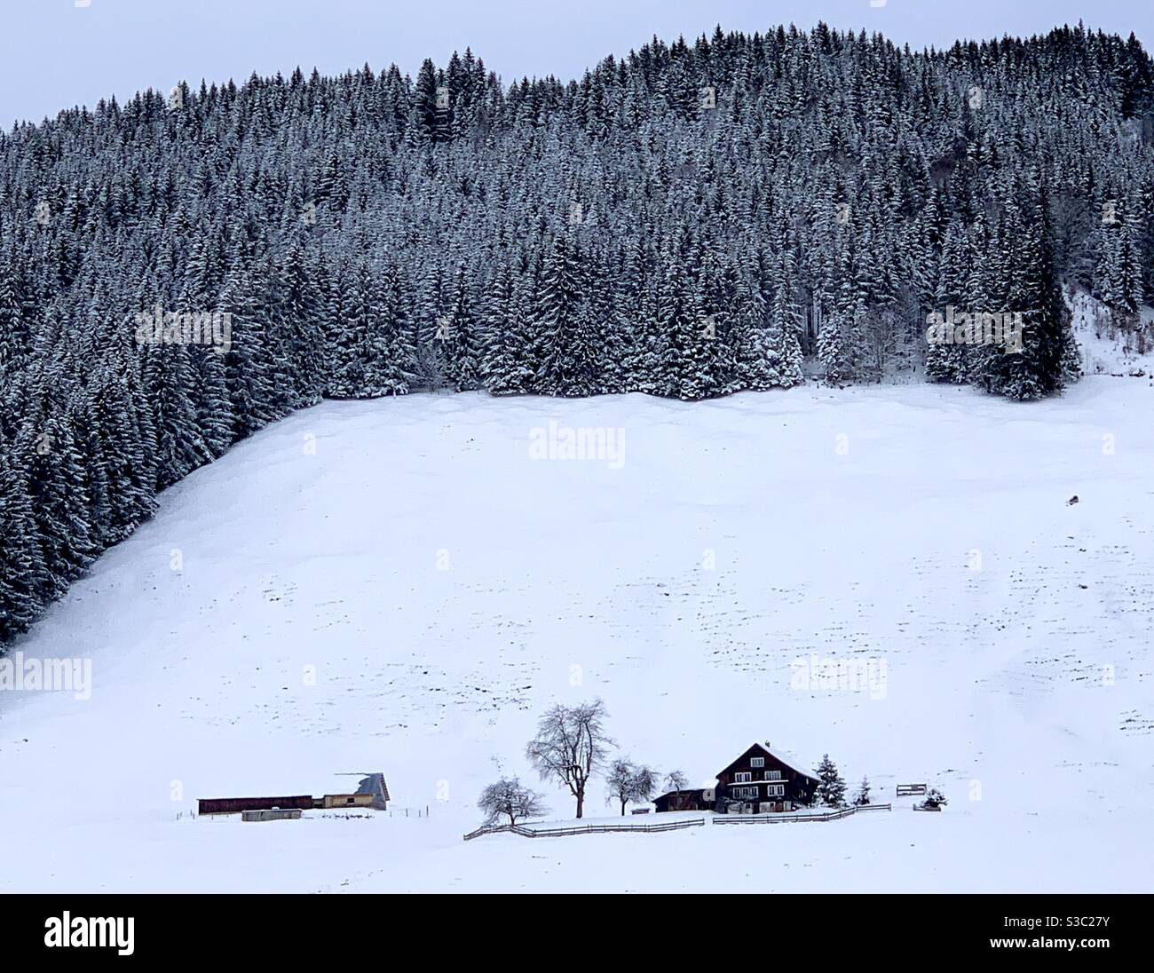 Una casa colonica solitaria con su una collina circondata da una foresta di conifere in inverno. Tutto è coperto da uno spesso strato di neve e sembra una favola. Foto Stock