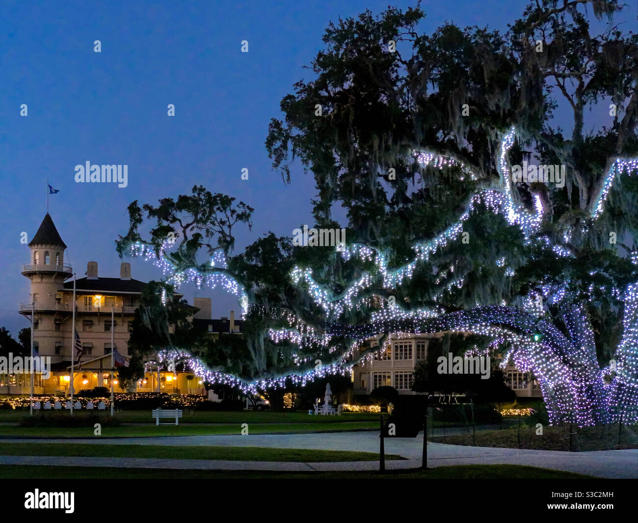 Alberi di quercia adornati con luci di Natale per la celebrazione di Natale di Holly Jekyll a Jekyll Island, Georgi, USA. Foto Stock