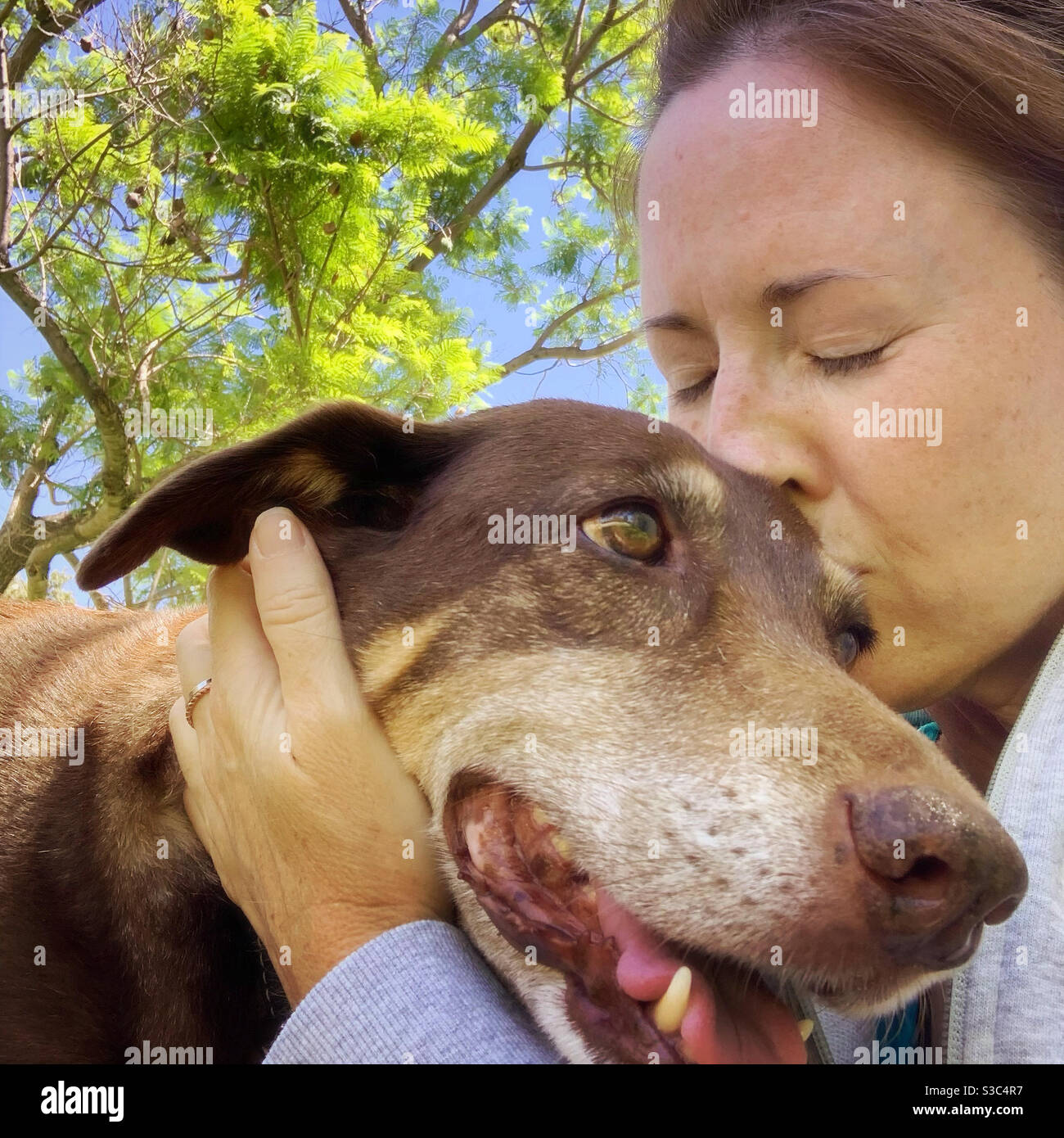 Donna baciare cane Foto Stock