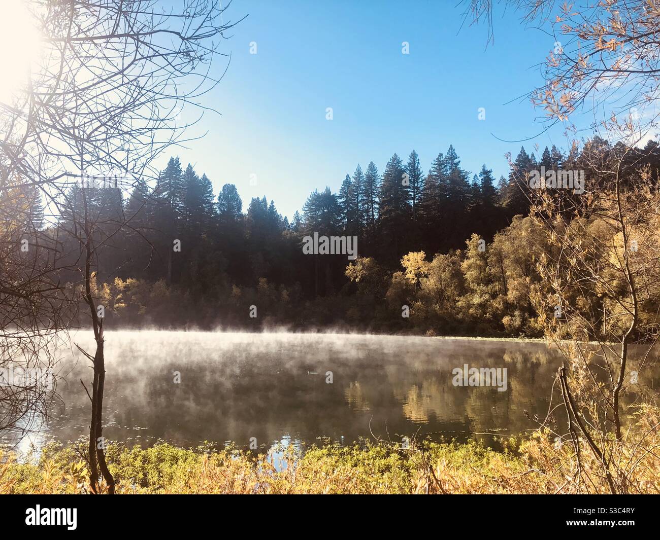 Parco regionale sul lungofiume di Healdsburg in autunno Foto Stock