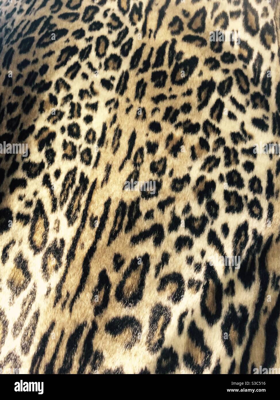 Cappotto in pelle vintage leopardata. Foto Stock