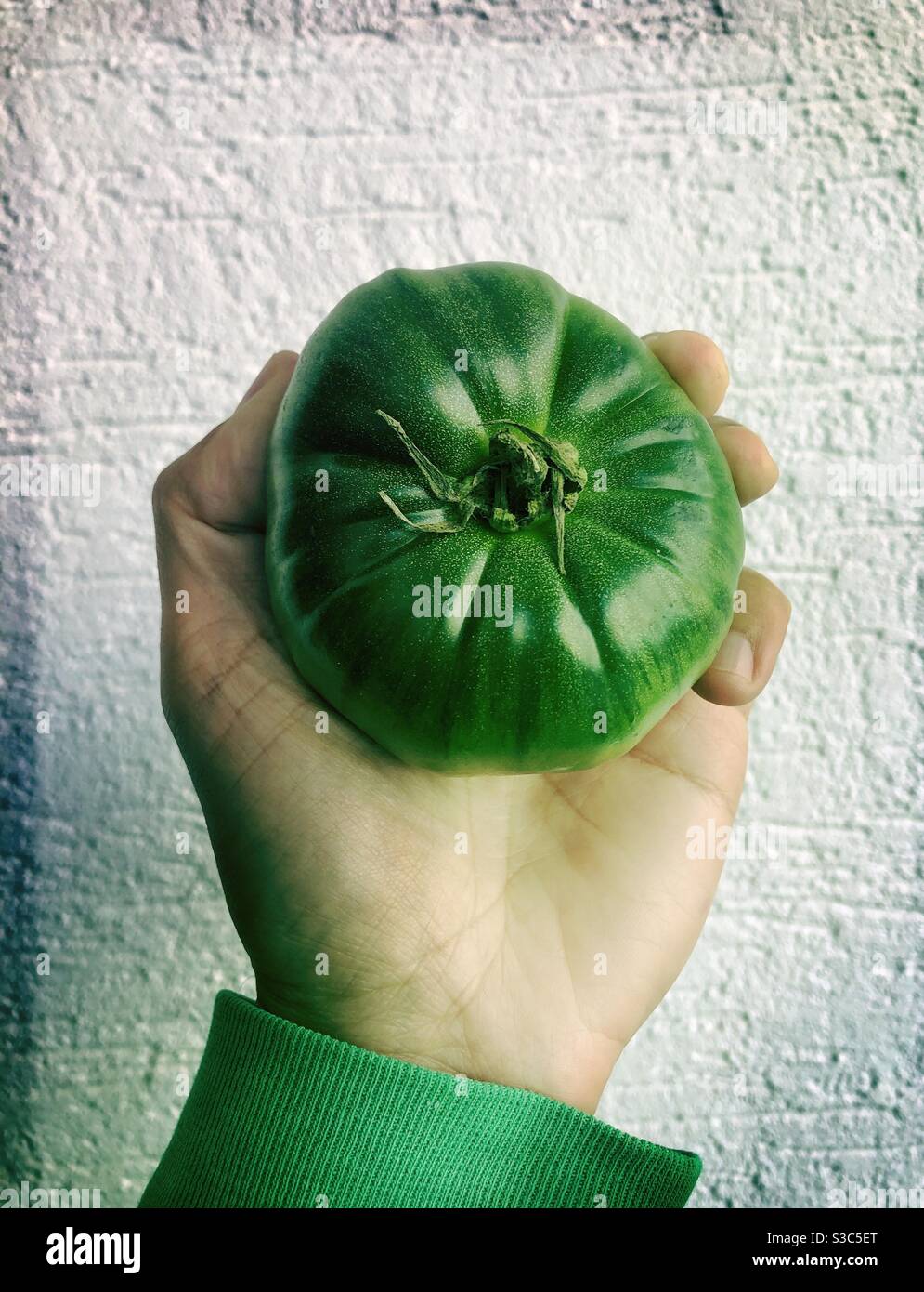 Pomodori verdi in mano Foto Stock