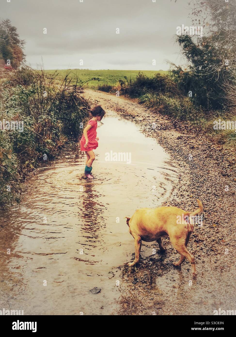 La bambina e il suo cane giocano in autunno pioggia e. puddle Foto Stock