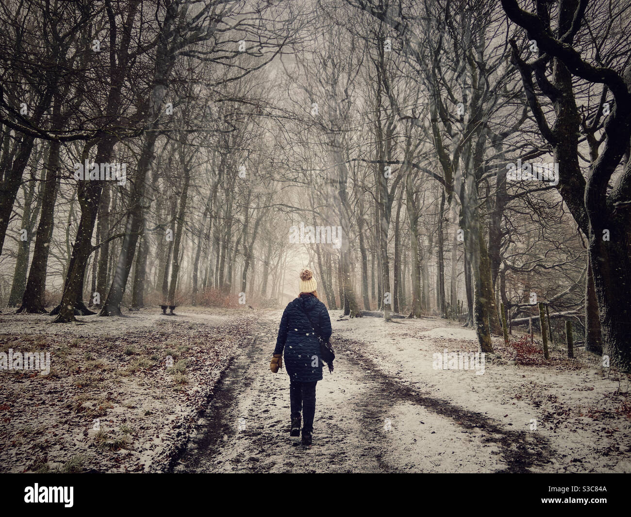 Donna che cammina attraverso boschi come la neve sta cadendo vicino a Chorley in Lancashire. Foto Stock