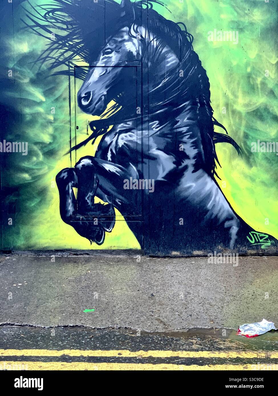 Murale di un cavallo pancante alla porta di un edificio nel quartiere delle libertà di Dublino, Irlanda. - Immagine stock catturata con smartphone