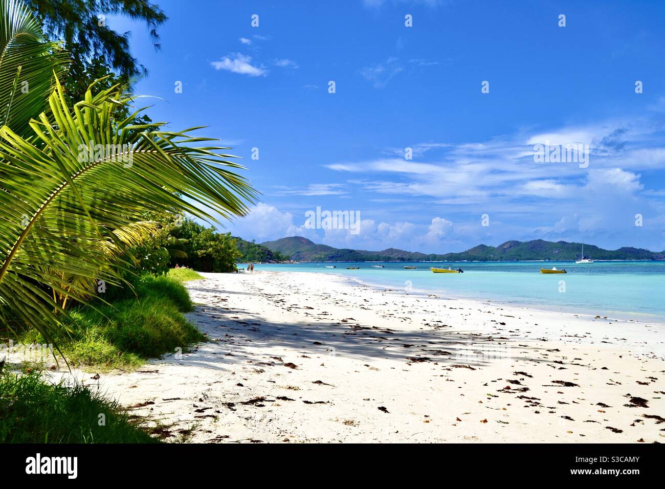 La più bella spiaggia esotica e tropicale sul glamour isola delle Seychelles in estate con sabbia bianca Acque blu turchese dell'Oceano Indiano e palme Foto Stock