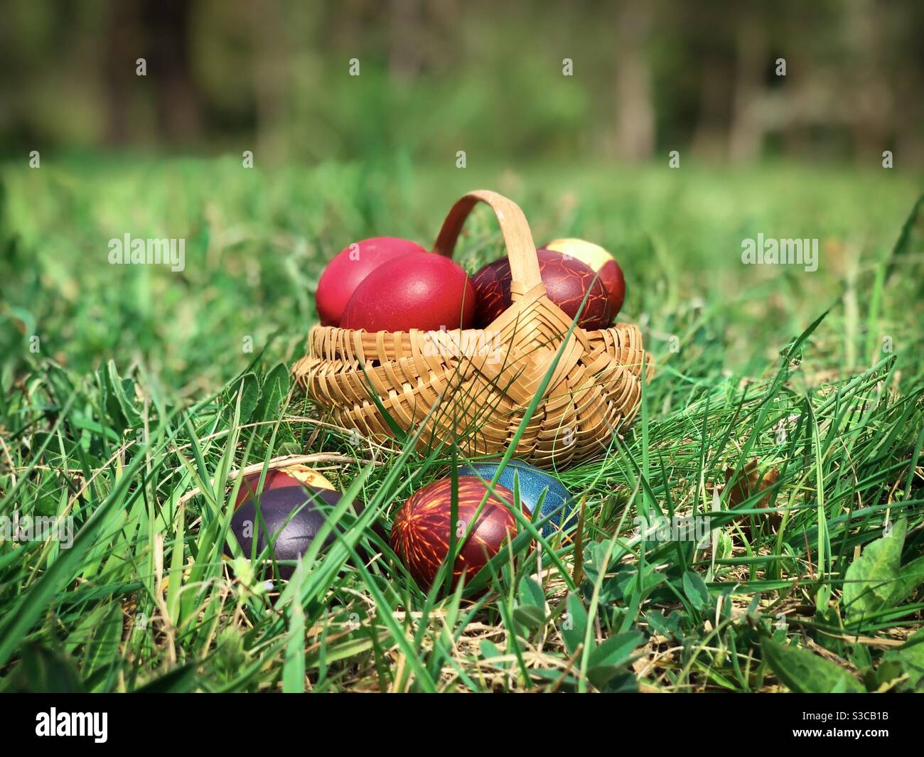 Cestino di legno riempito con uova di Pasqua colorate Foto Stock