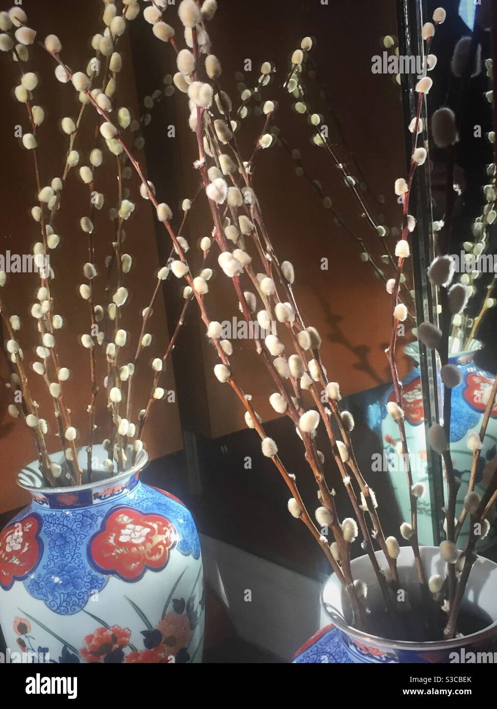 La figa salice in un vaso orientale di fronte a un speculare Foto Stock