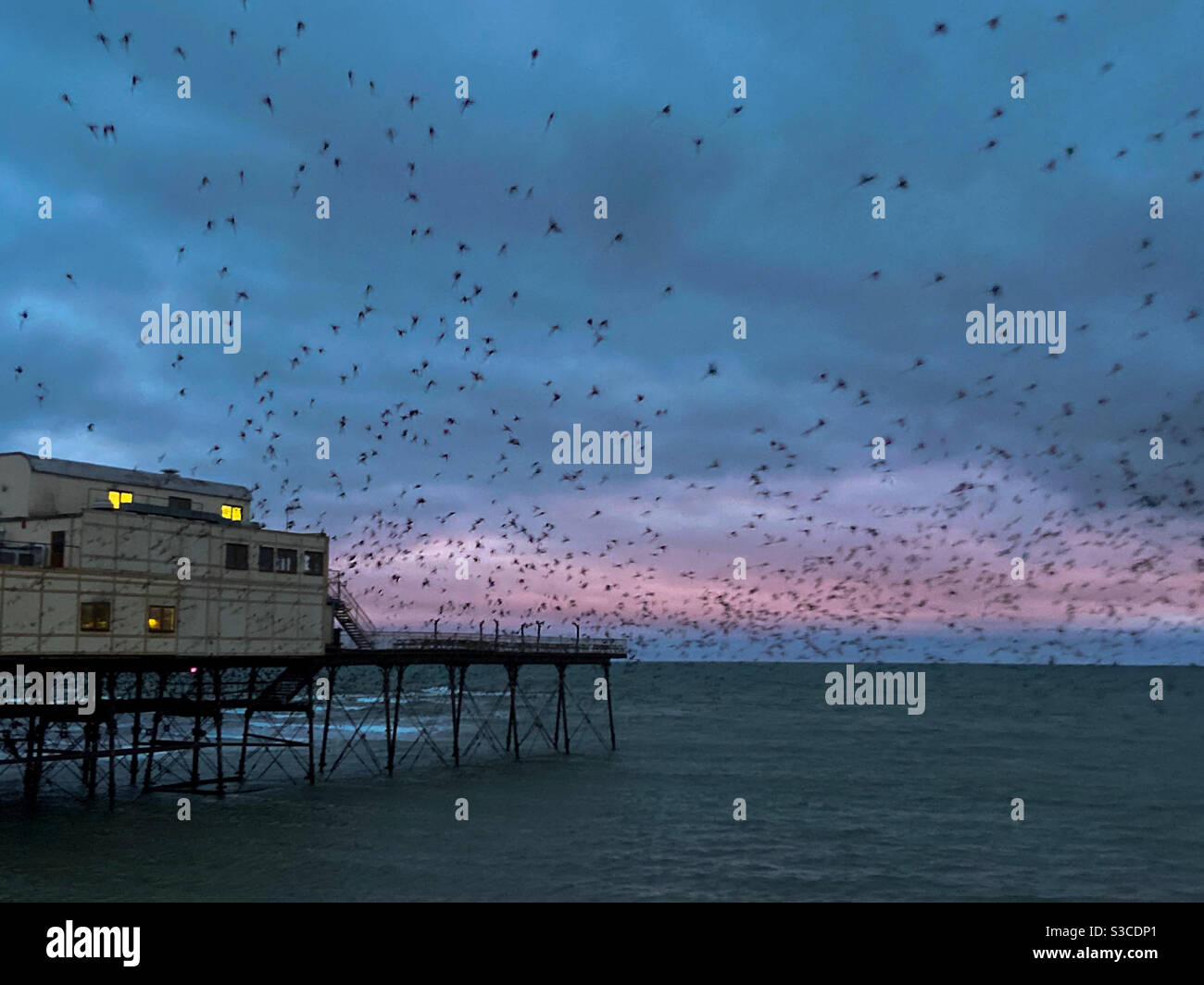 Aberystwyth, Galles occidentale, Regno Unito. Lunedì 11 Gennaio 2021. Meteo: All'alba, migliaia di stelle riempiono il cielo di Aberystwyth. Credito fotografico ©️ Rose Voon / Alamy Live News. Foto Stock