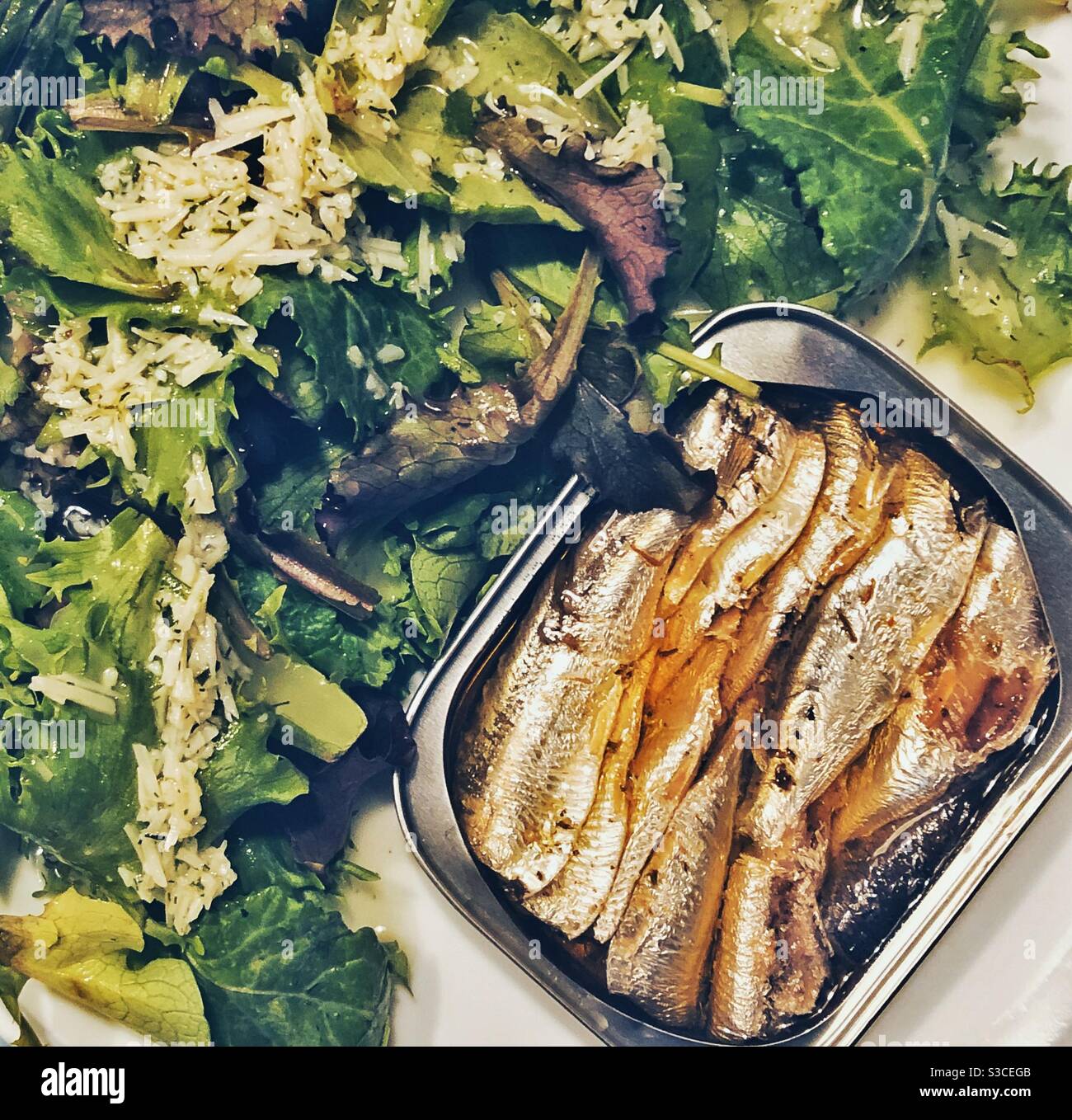 Lattina di sardine con insalata verde Foto Stock