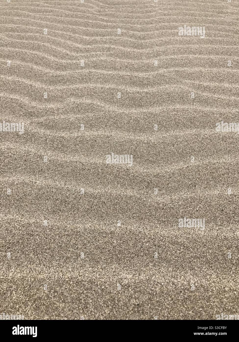 Il vento fa le forme d'onda sulla sabbia dorata fine sulla spiaggia di te in Turchia, ora estiva Foto Stock