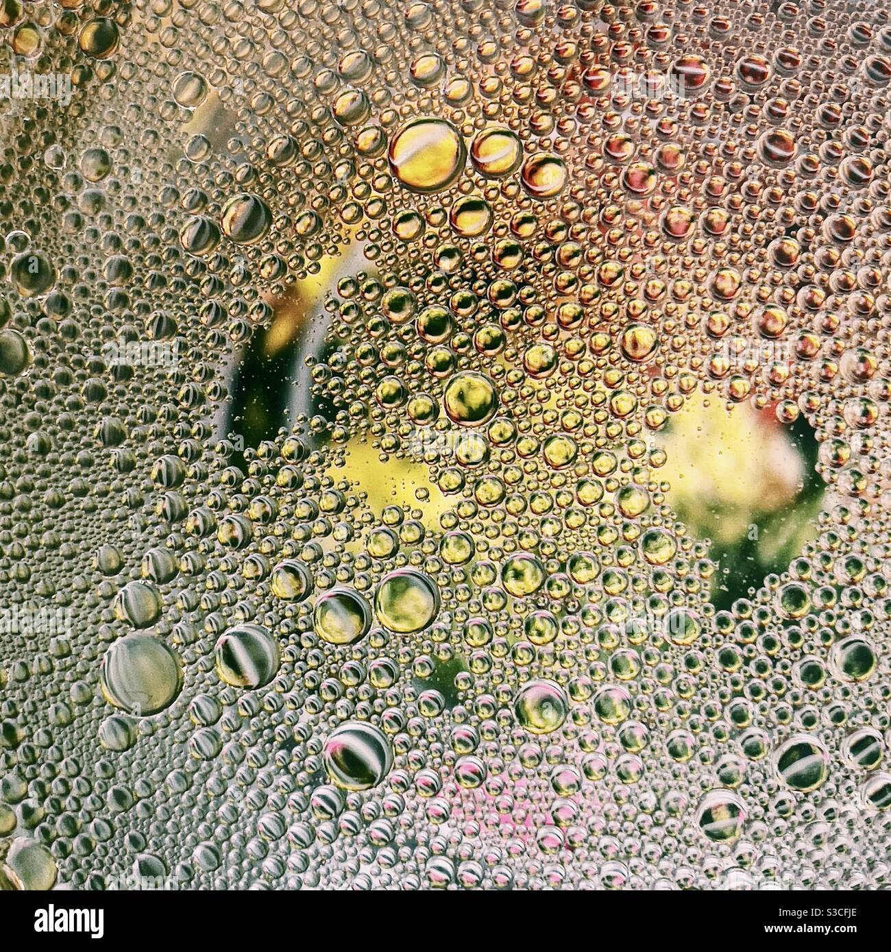 Bolle di olio in acqua Foto Stock