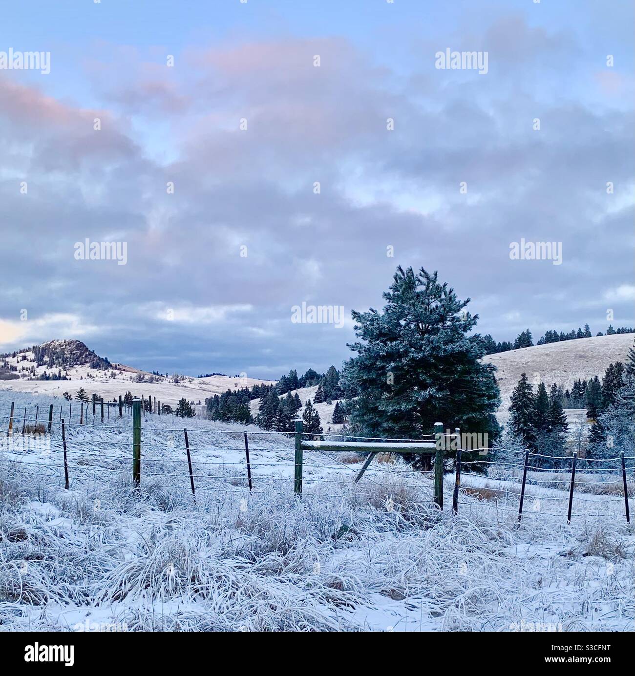 Inverno in Val Nicola Foto Stock