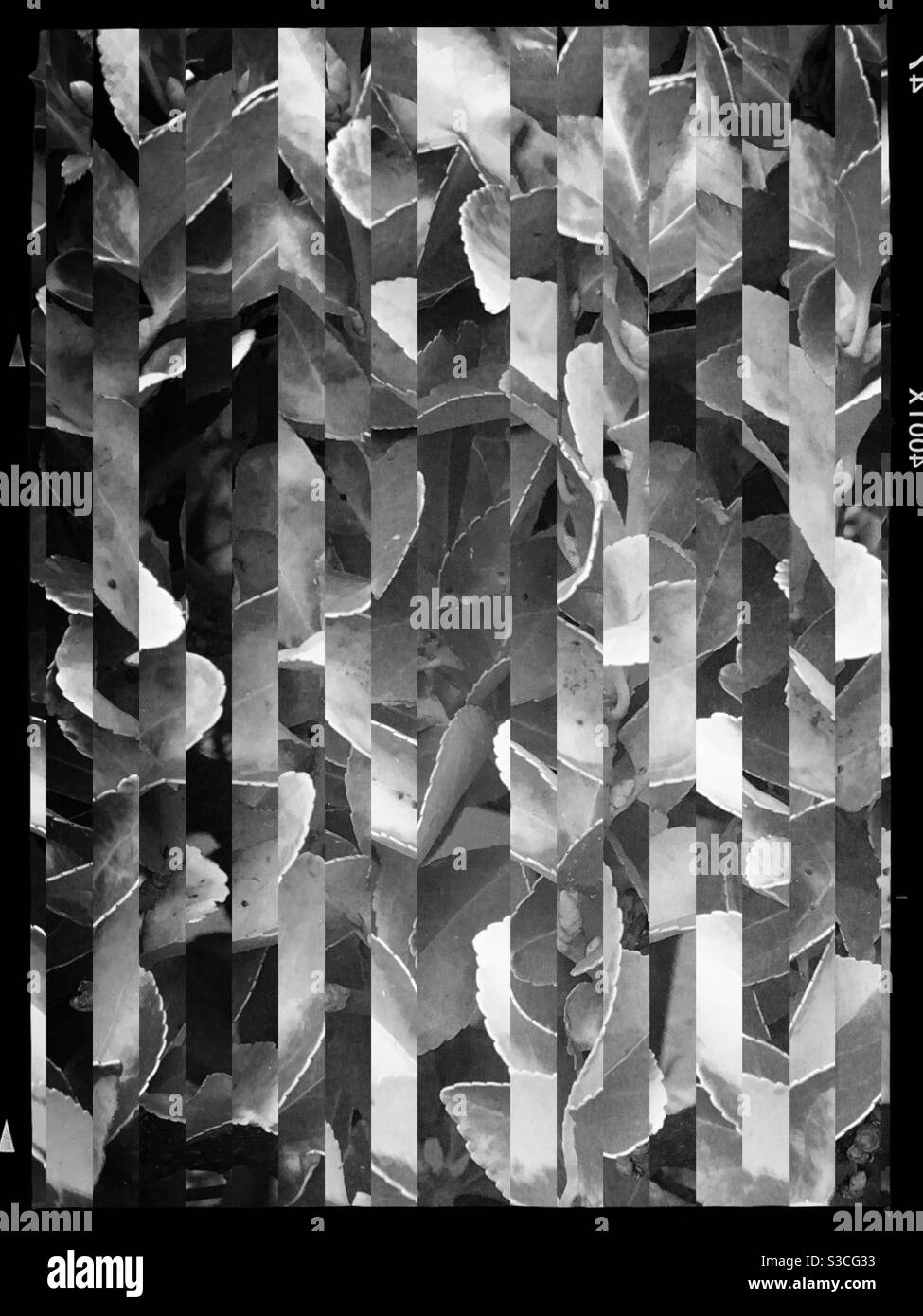 Immagine di pattern astratto in bianco e nero con geometria verticale linee Foto Stock