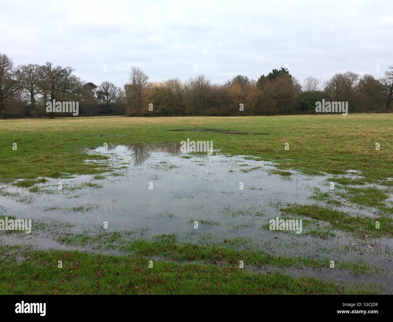 Campo sommerso - Immagine stock catturata con smartphone