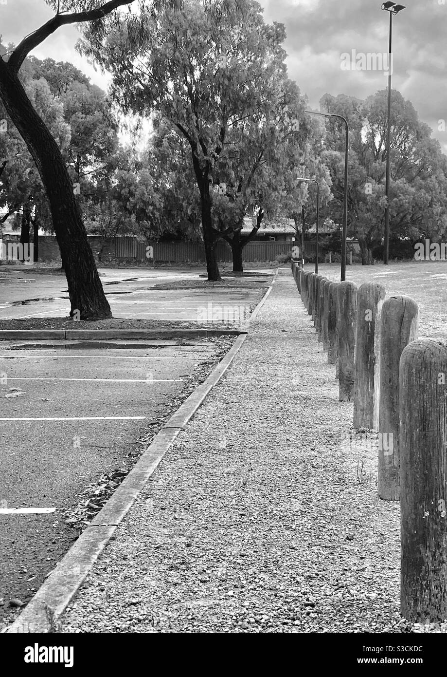 Parco pubblico desertato in una giornata invernale, mostrando prospettive. - Immagine stock catturata con smartphone