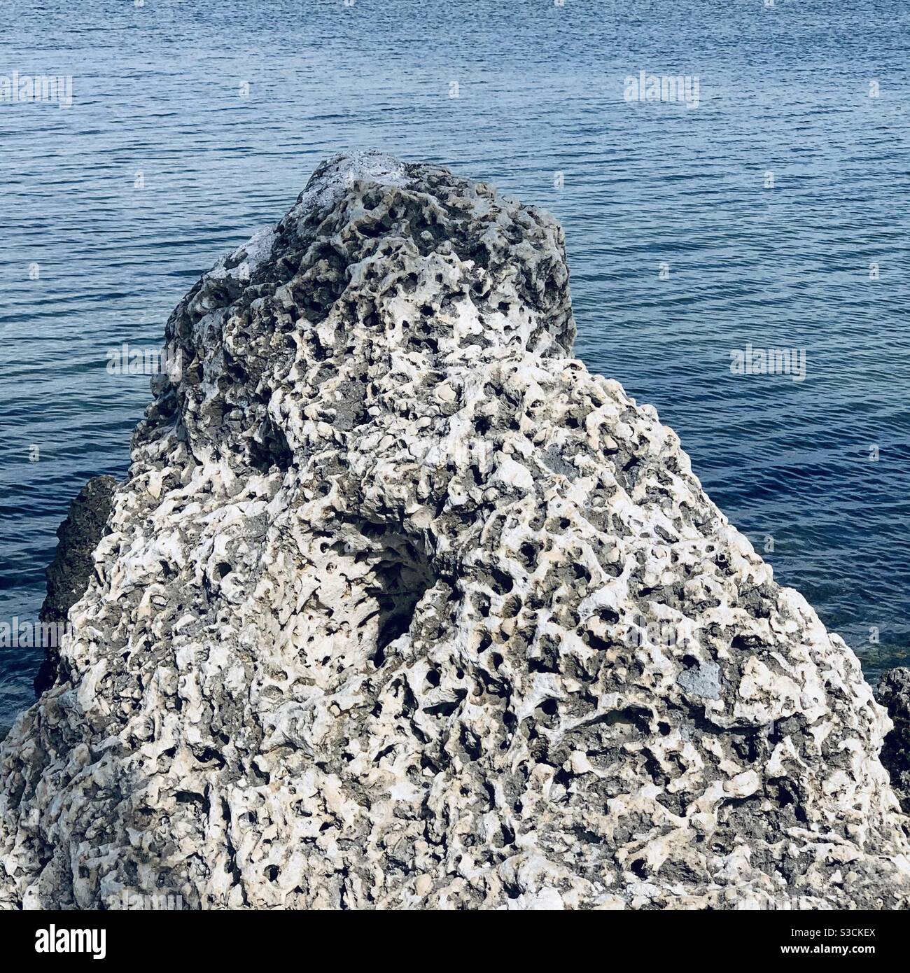 Roccia corallina Foto Stock