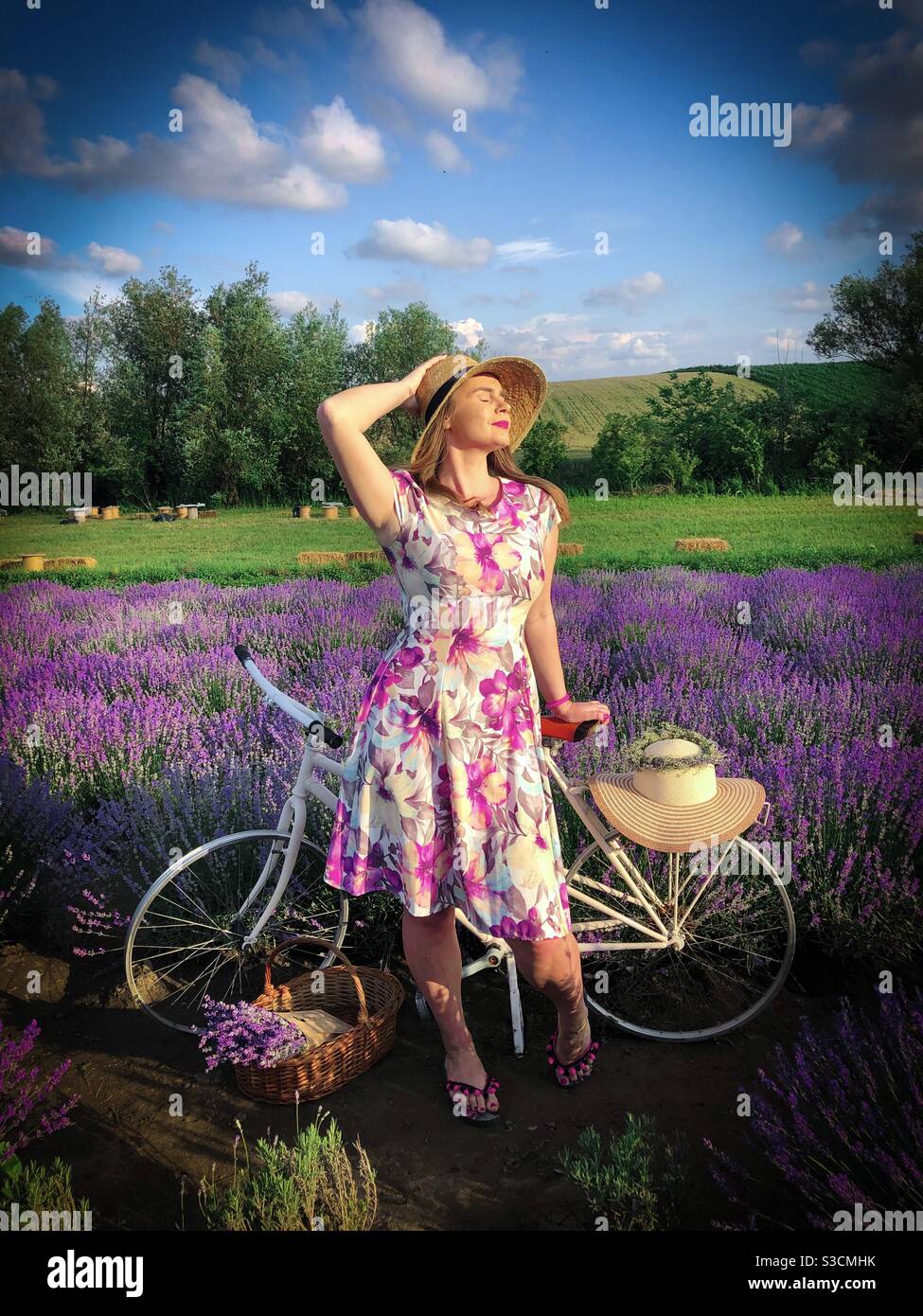 Donna e bicicletta in un campo di lavanda Foto Stock